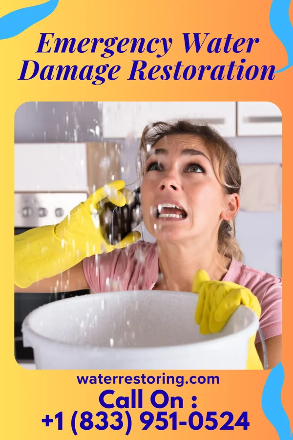 Emergency Water Damage Restoration in Lilbourn, MO